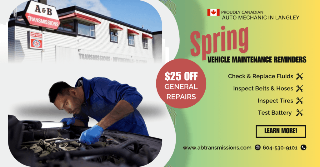 Canadian Owned Auto Mechanic